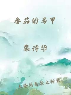 番茄的马甲