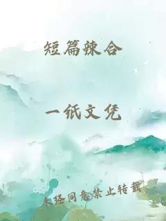 短篇辣合