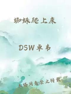 蜘蛛爬上床