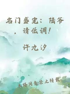 名门盛宠：陆爷，请低调！