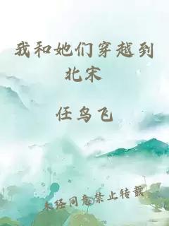 我和她们穿越到北宋